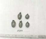 Click for 1 image(s) for this accession. FRUIT